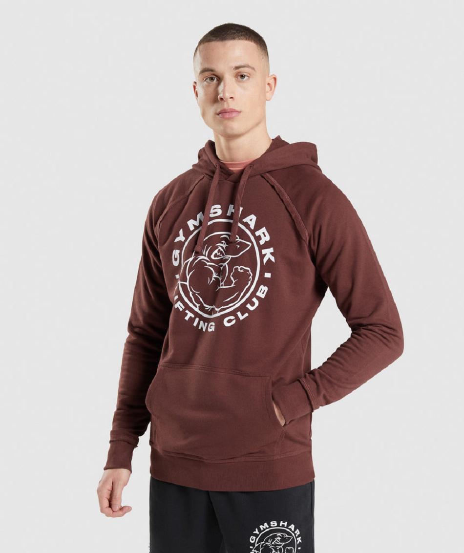 Sudadera Con Capucha Gymshark Legacy Hombre Rosas Marrones | CO 3629WNB